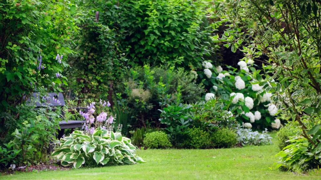 Contact paysagiste à Nantes, basse goulaine, vertou : conception et plans de jardins, aménagements extérieurs et espaces verts pour particuliers et professionnels