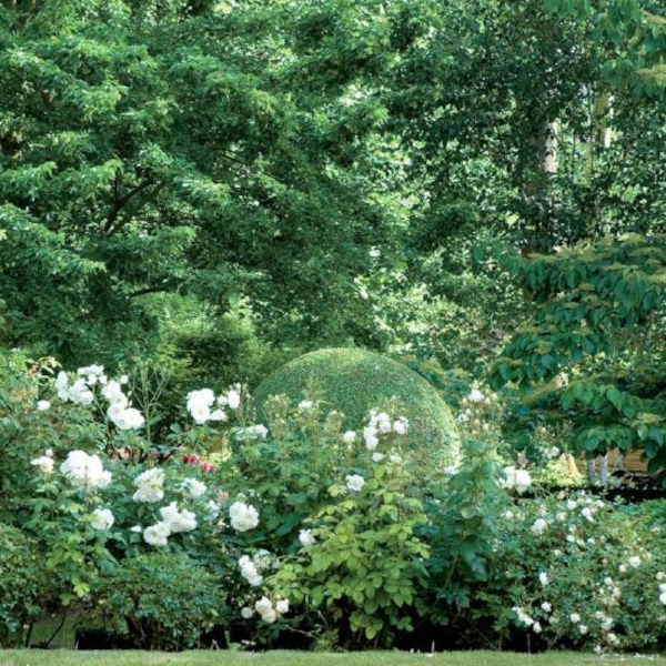 Paysagiste autour de Nantes, basse goulaine, vertou : conception et plans de jardins, aménagements extérieurs et espaces verts pour particuliers et professionnels