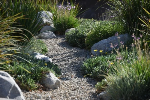 Paysagiste : conception de jardin durable, adapté à la chaleur et la sécheresse, et facile d'entretien (plans, coaching) à Basse Goulaine, Nantes, Vertou
